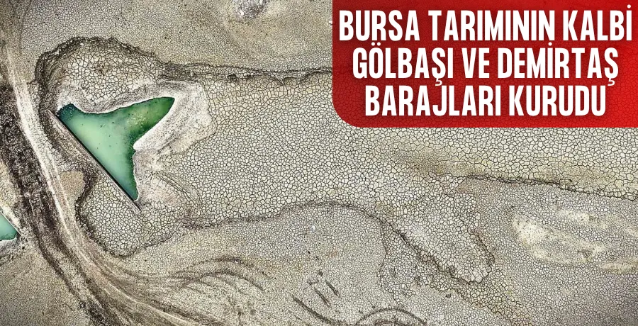 Bursa tarımının kalbi Gölbaşı ve Demirtaş Barajları kurudu