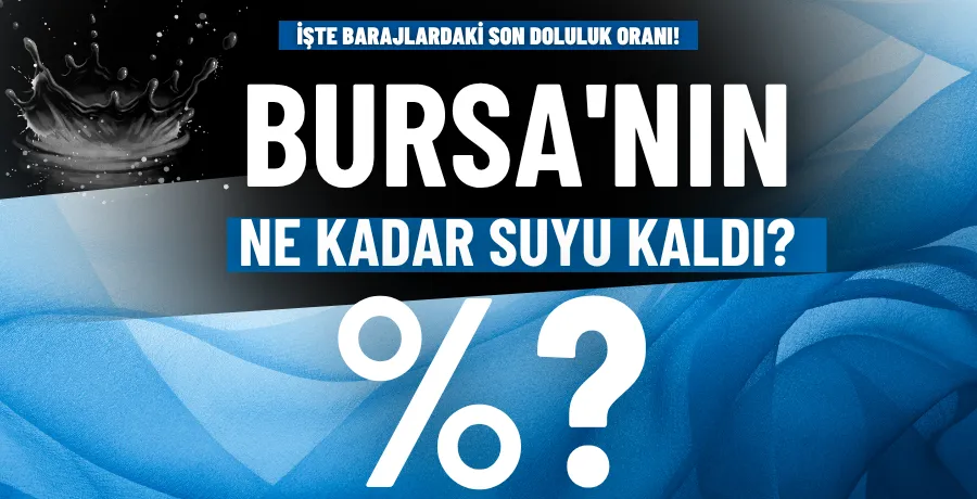 Bursa