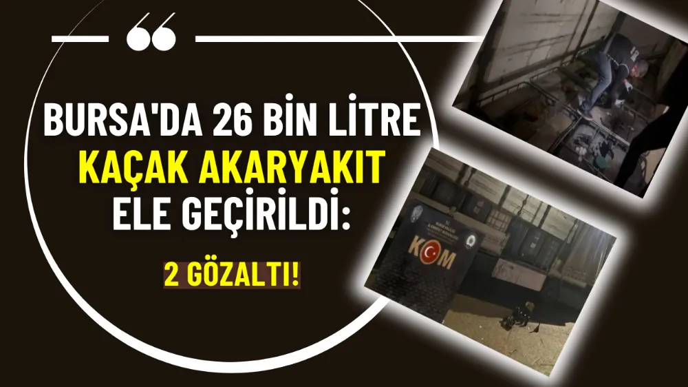 Bursa