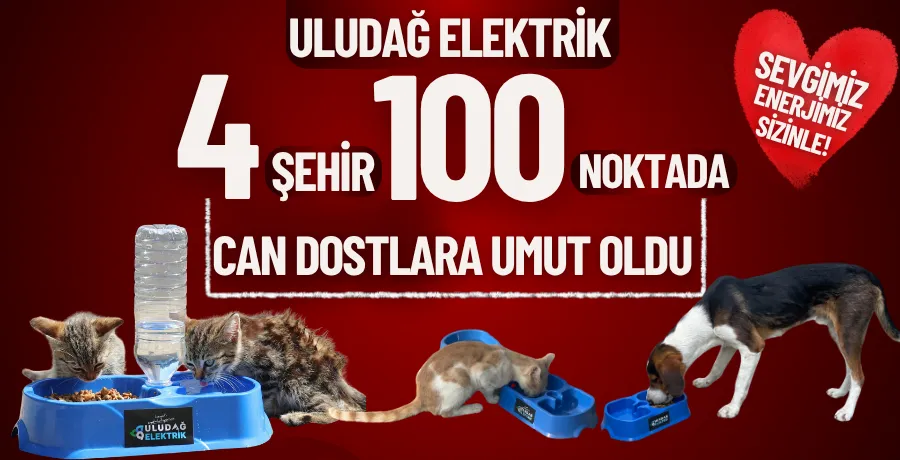 Uludağ Elektrik 4 şehir 100 noktada can dostlara umut oldu