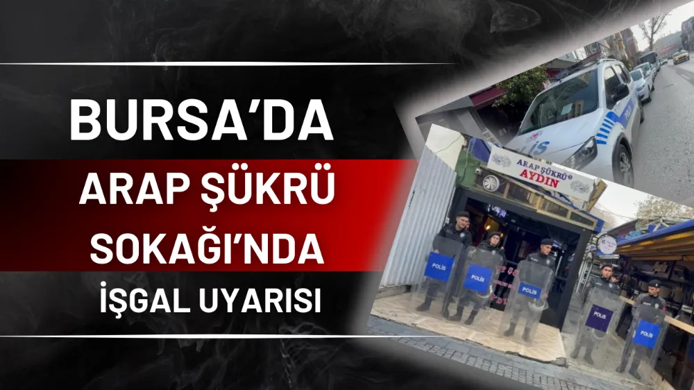Bursa