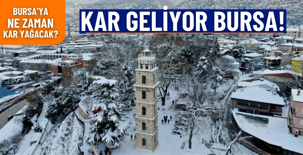 Bursa