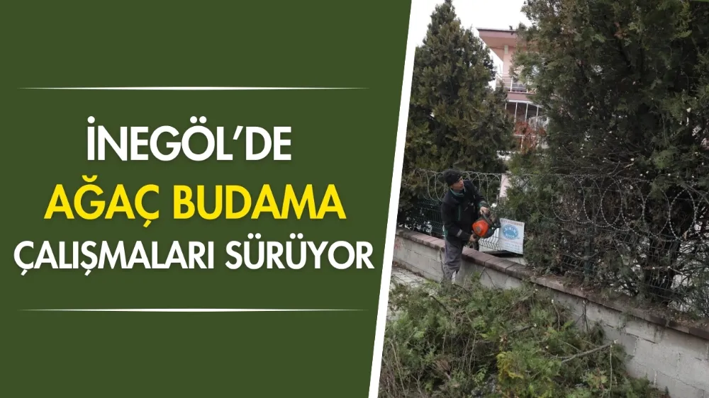 İnegöl’de ağaç budama çalışmaları sürüyor