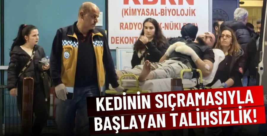 Kedinin sıçramasıyla başlayan talihsizlik!