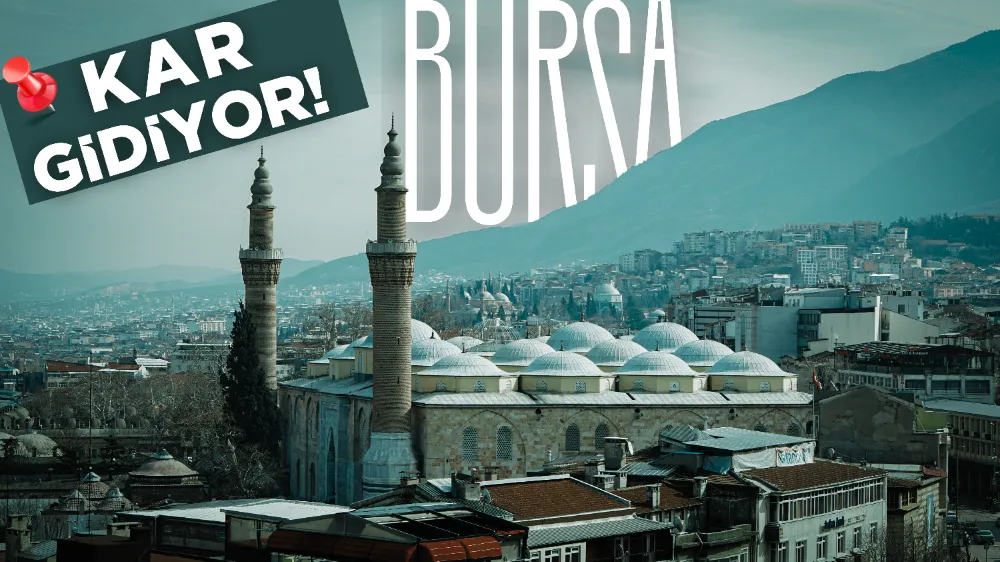 Bursa