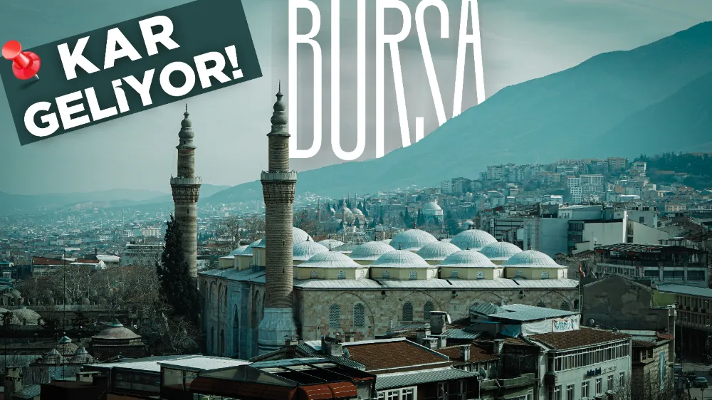 Bursa