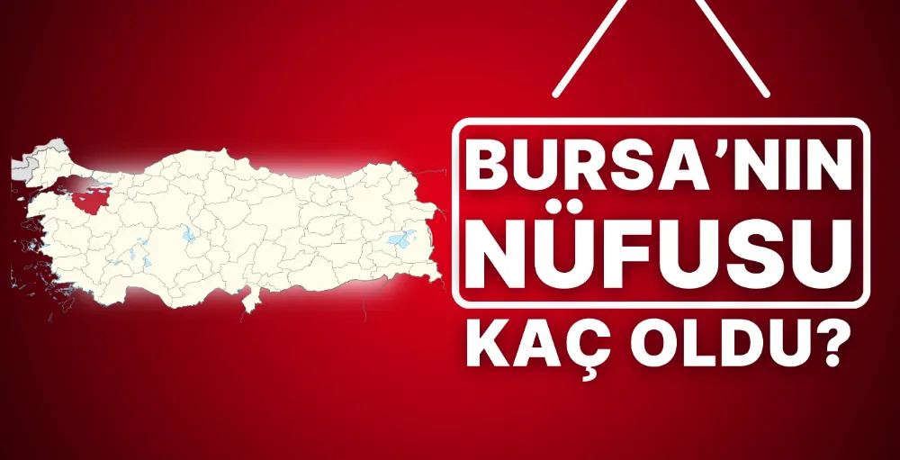 Bursa