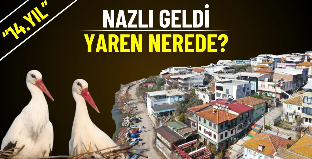 Nazlı geldi Yaren leylek nerede?