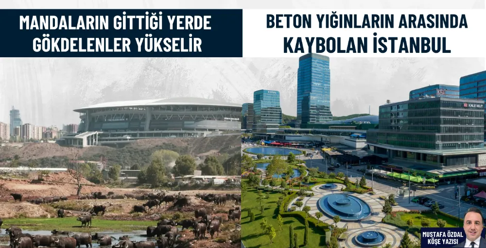 Mandaların gittiği yerde gökdelenler yükselir 