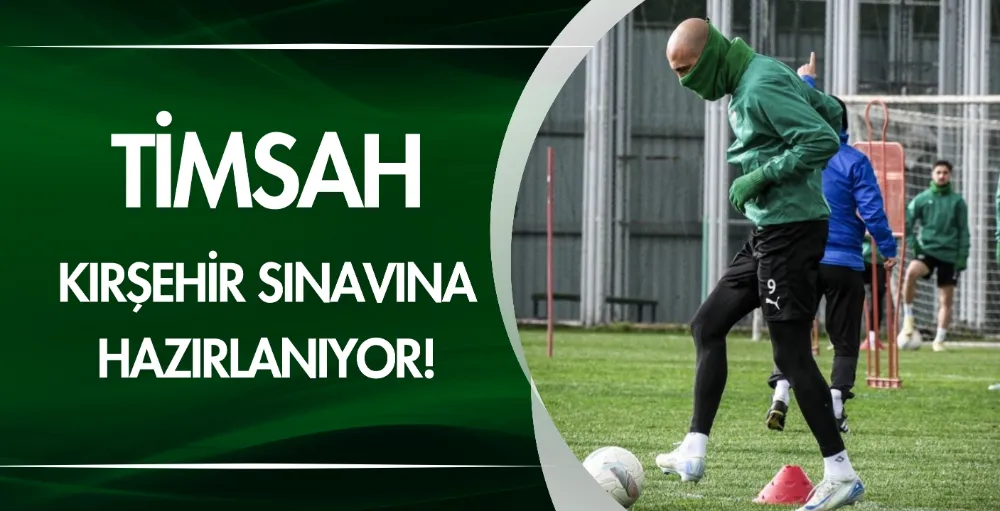 Timsah, Kırşehir sınavına hazırlanıyor!