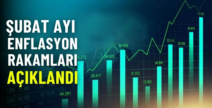 Şubat ayı enflasyon rakamları açıklandı