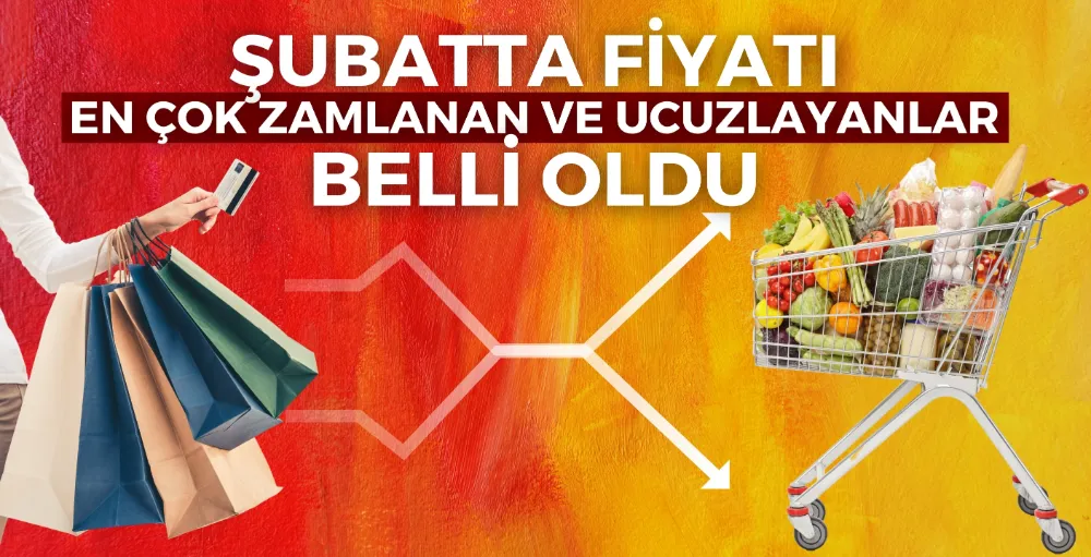 Şubatta fiyatı en çok zamlanan ve ucuzlayanlar belli oldu