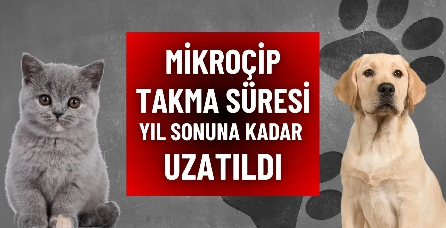 Mikroçip takma süresi yıl sonuna kadar uzatıldı