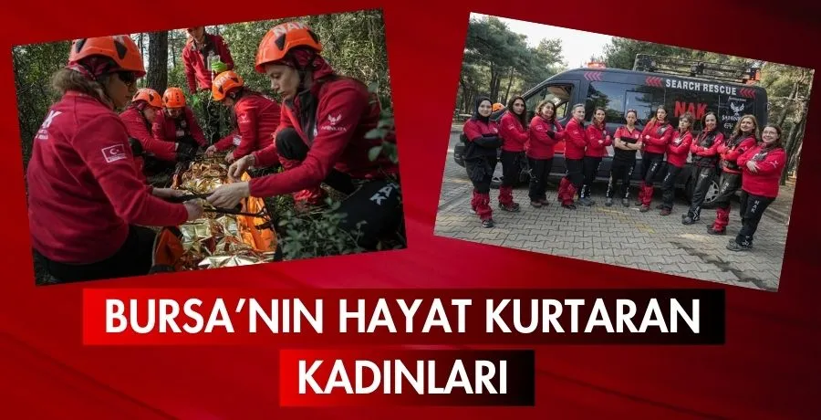 Bursa
