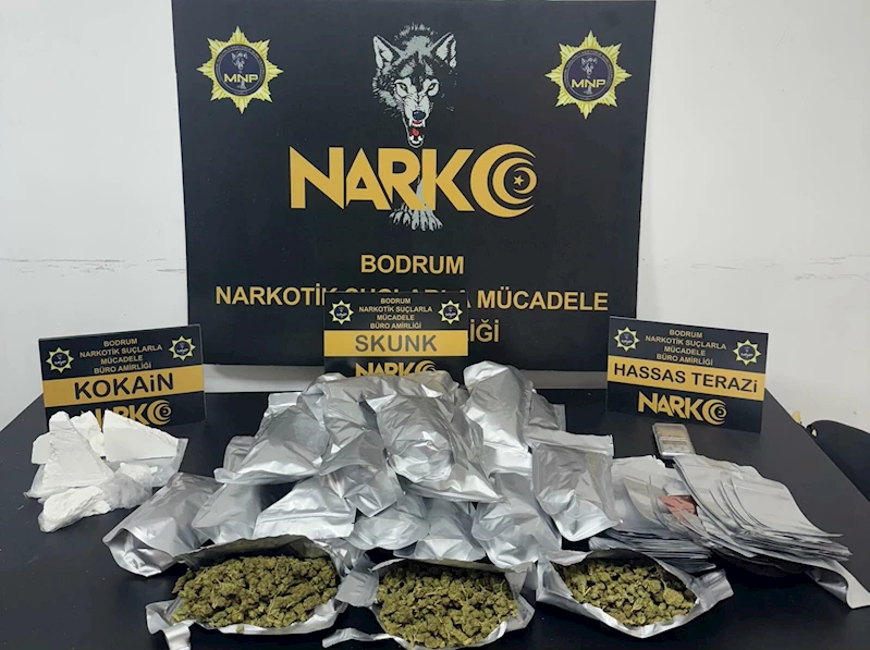 Evde skunk ve kokain ele geçirildi; 1 tutuklama