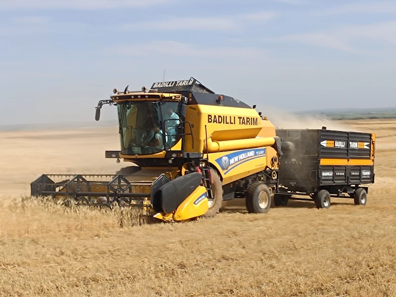Mardin’de ilk arpa hasadı yapıldı; çiftçi gram altınla ödüllendirildi