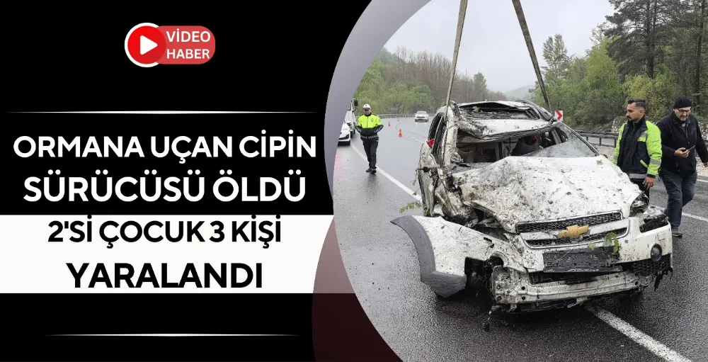 Ormana uçan cipin sürücüsü öldü, 2