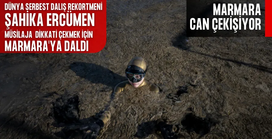 Şahika Ercümen