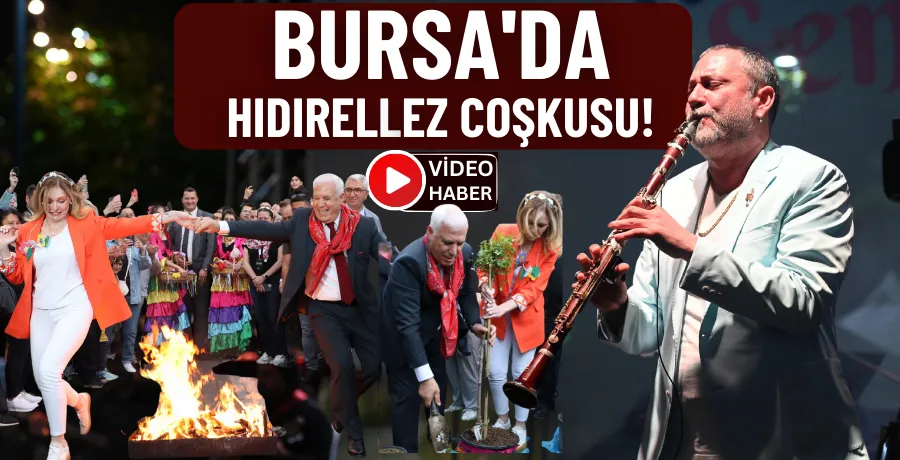 Bursa
