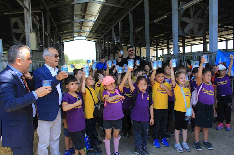 Minikler inekler arasında süt içerek Süt Günü’nü kutladı
