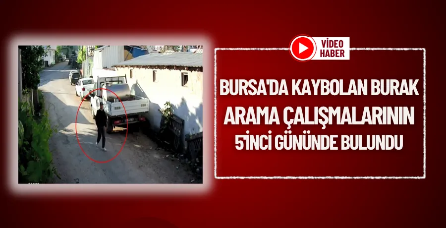 Bursa