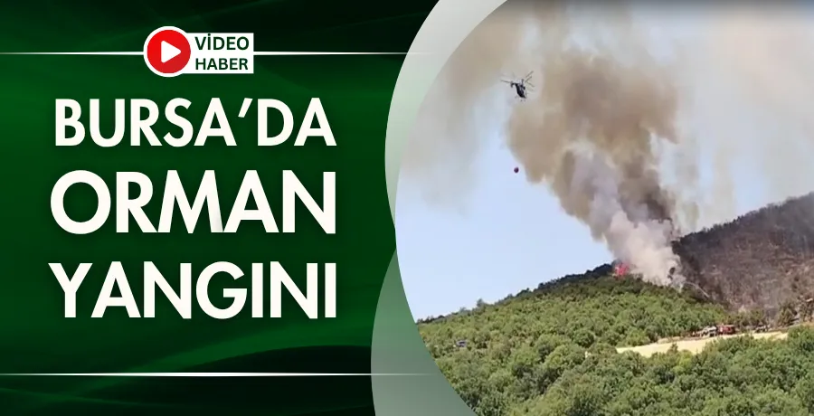 Bursa’da orman yangını