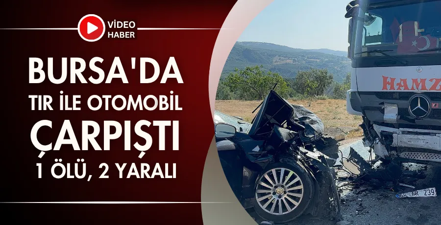 Bursa