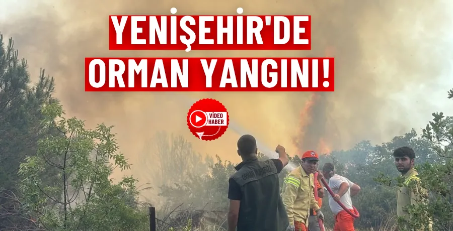 Yenişehir