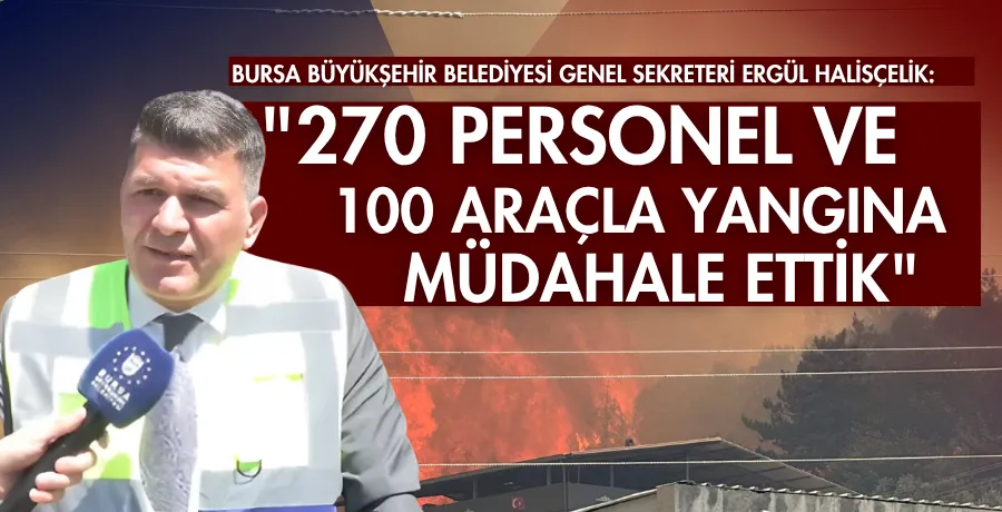 Ergül Halisçelik: 