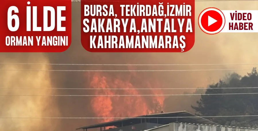 6 İlde orman yangını!