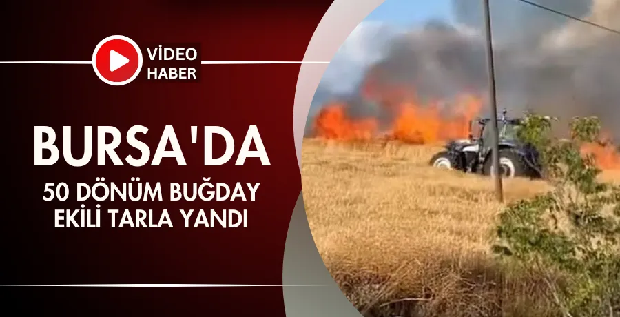 Bursa