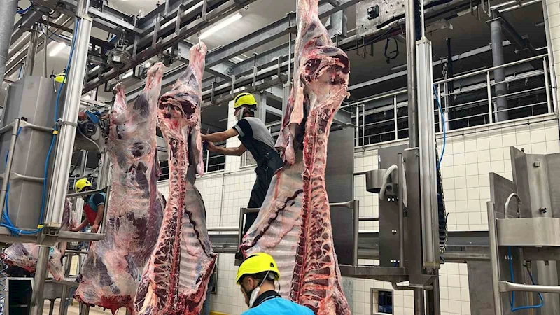 Kist hidatik riskine karşı sakatat uyarısı
