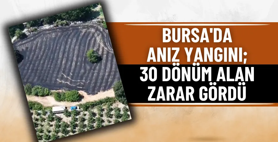Bursa