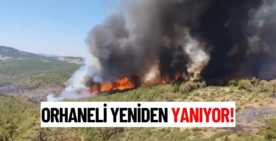 Bursa Orhaneli’de alevler yeniden canlandı