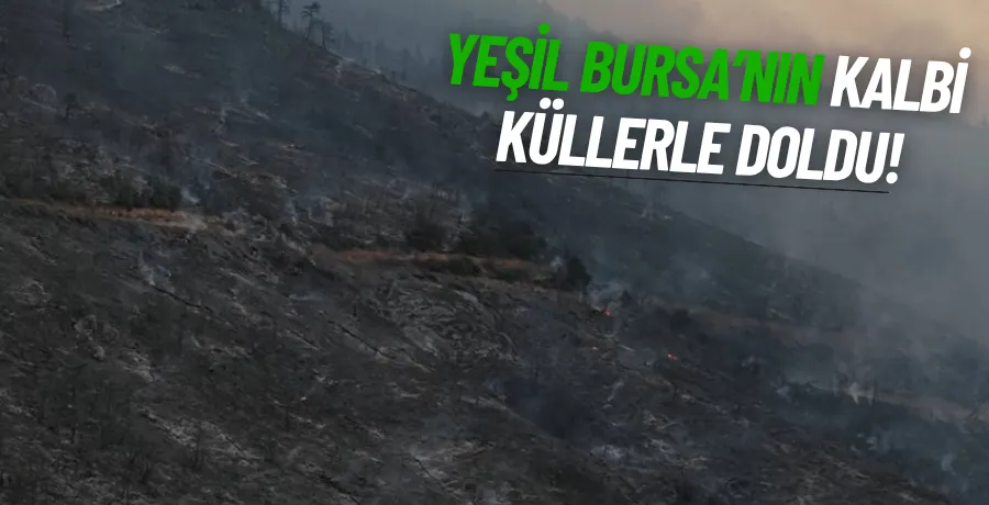 Bursa’daki yangın bölgesi dronla görüntülendi; tahliye edilen mahallelere dönüş başladı