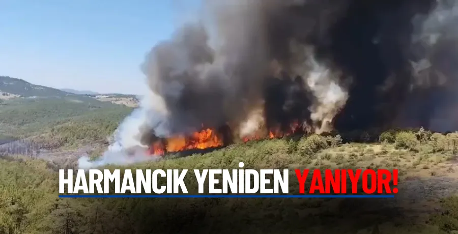 Bursa yine alevlere teslim! Harmancık tekrardan yanıyor