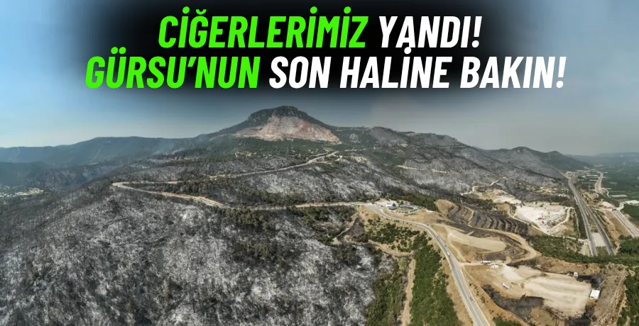Yeşil Bursa