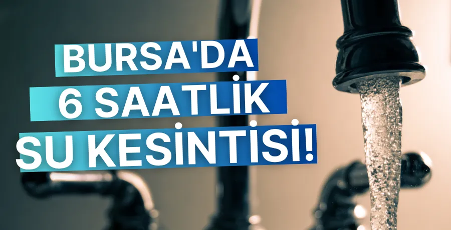 Bursa