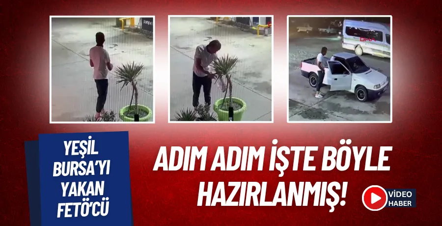 Bursa