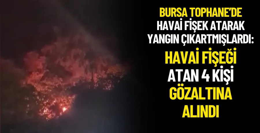 Attıkları havai fişek yangın çıkardı; 4 gözaltı