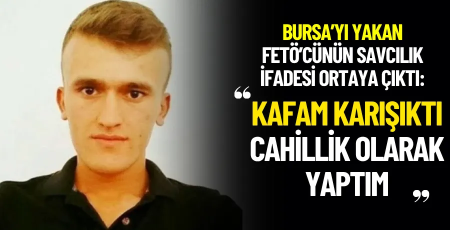 Ormanı 