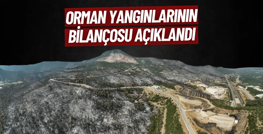 Orman yangınlarının bilançosu açıklandı! Bursa...