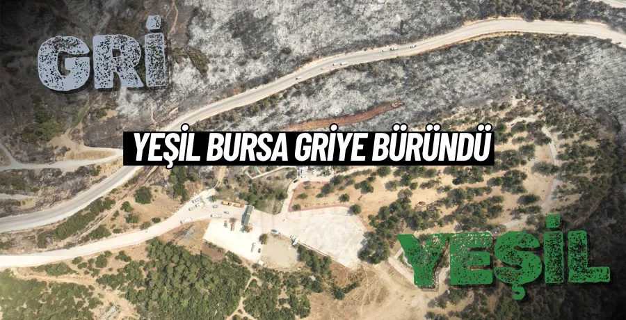 Bursa’da yanan ormanlar dronla görüntülendi