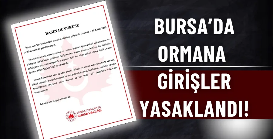 Bursa