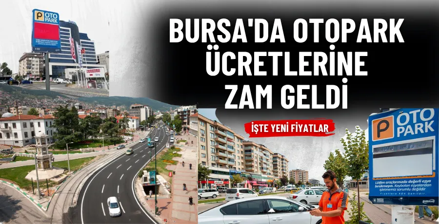 Bursa