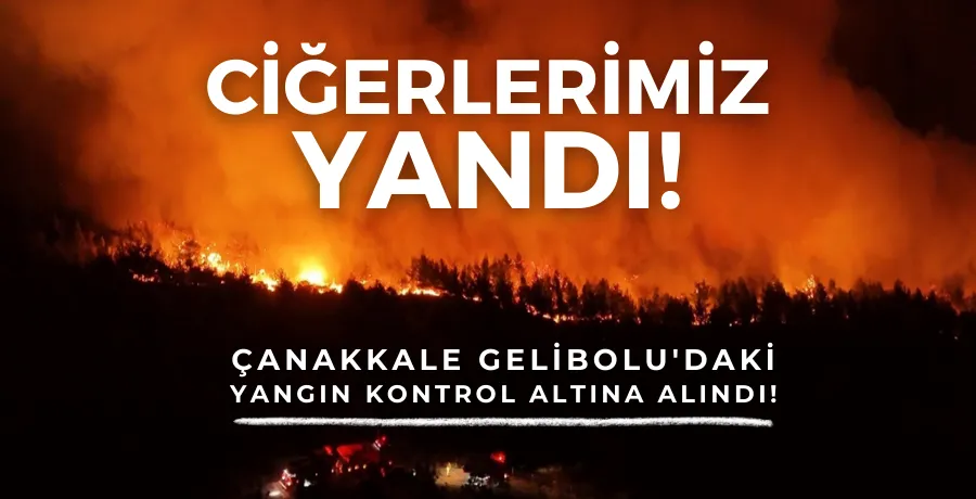 Çanakkale Gelibolu