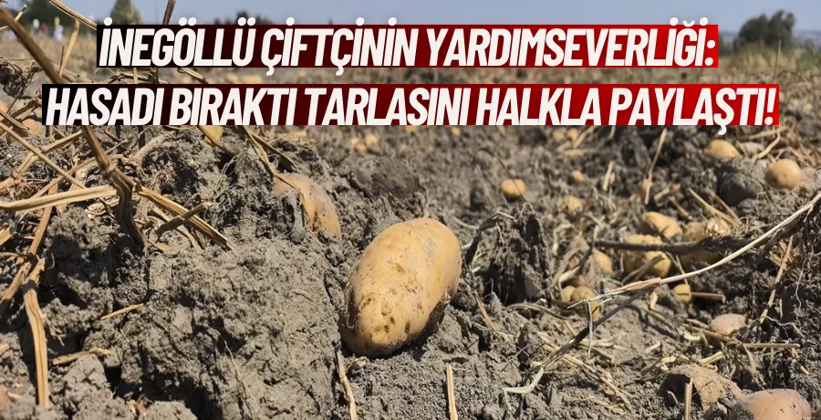 Tarlasındaki patatesleri ücretsiz dağıttı