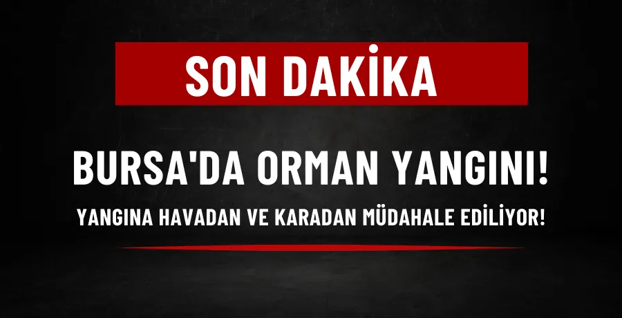 Bursa
