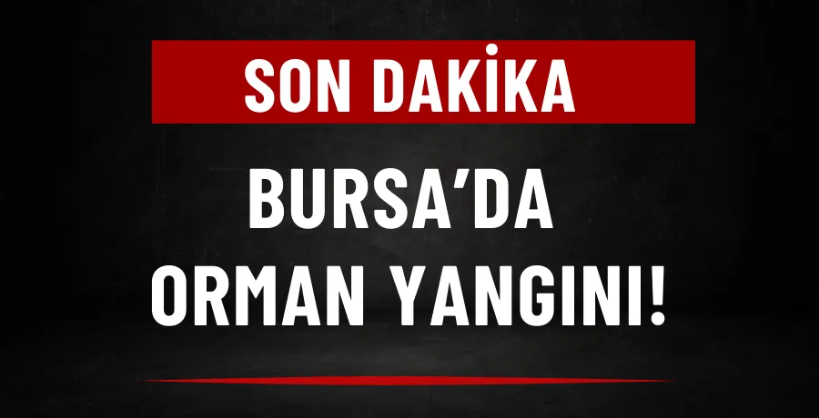 Bursa’da orman yangını