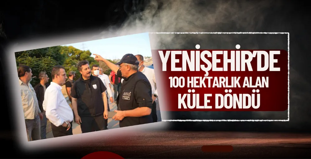 Yenişehir’de 100 hektarlık alan küle döndü